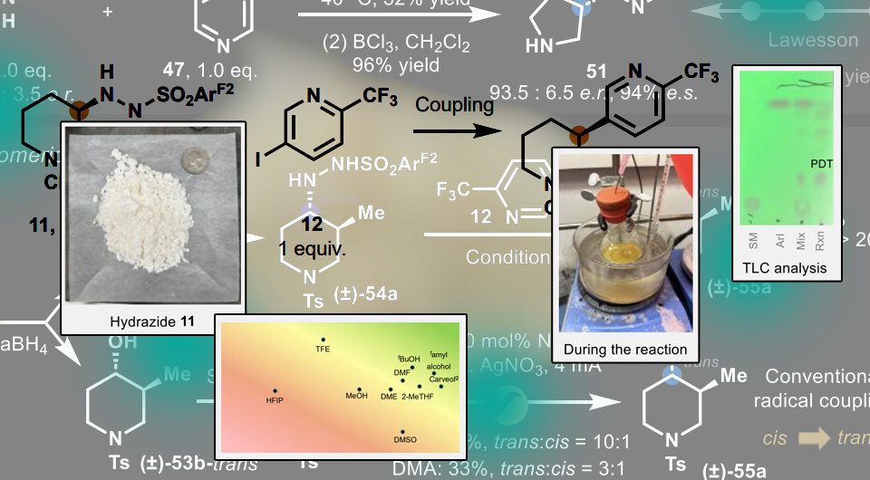   N+1; Jiawei Sun et al. / ChemRxiv, 2025