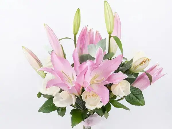   Нежные розовые лилии от AzaliaNow Вера Курилыч
