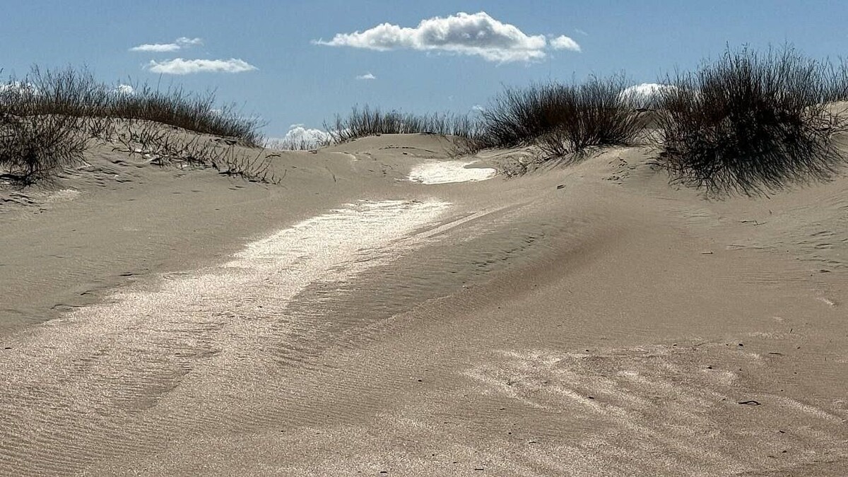    Фото: телеканал «Краснодар»