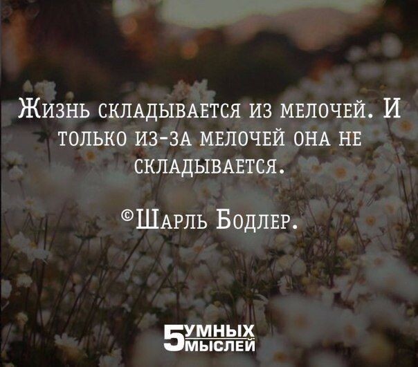 картинка из интернета