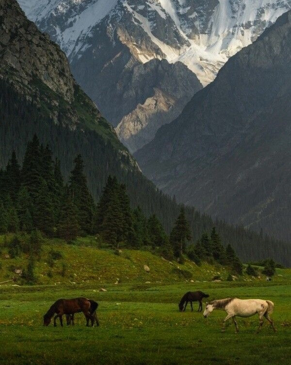       @reshta1969m
