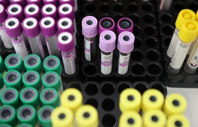    Артем Соболев/NEWS.ru