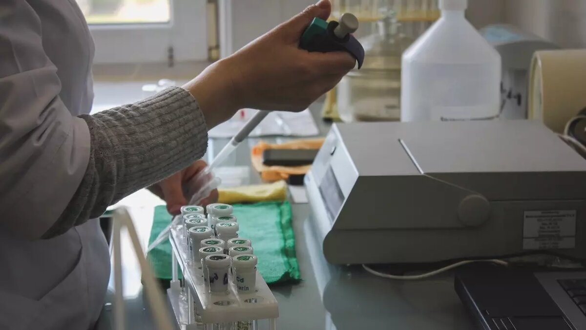 В детском питании для школьников эксперты нашли опасный для здоровья «мясной клей», антибиотики и фальсифицированный жир. Фото: 1MI