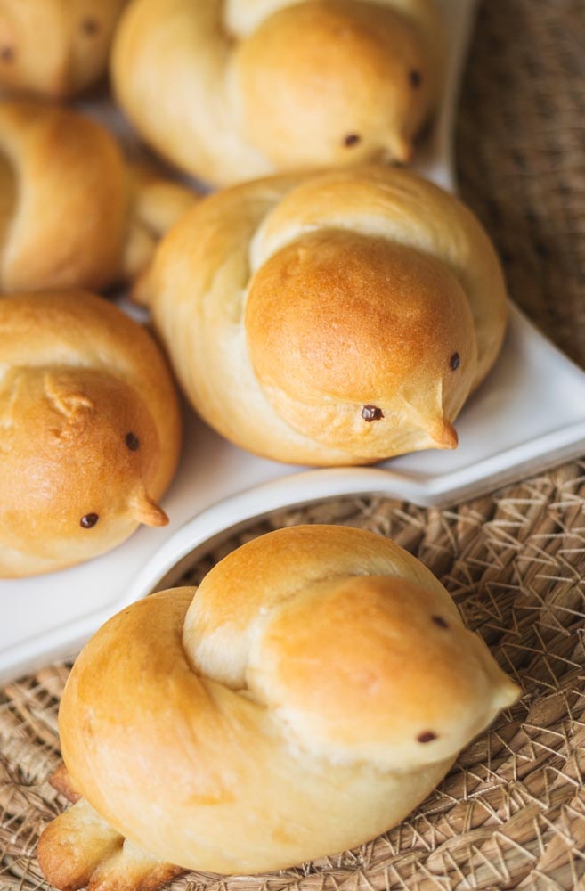 Птички мои чем-то на тюленей смахивают