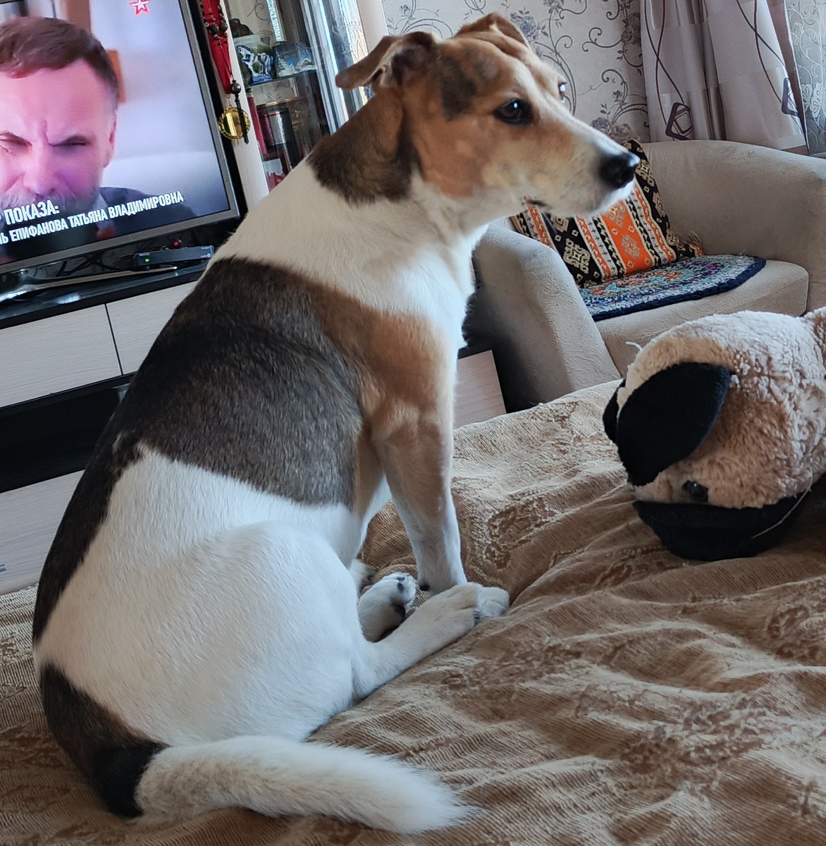 Мой набалованный и любимый мальчишка. 😂