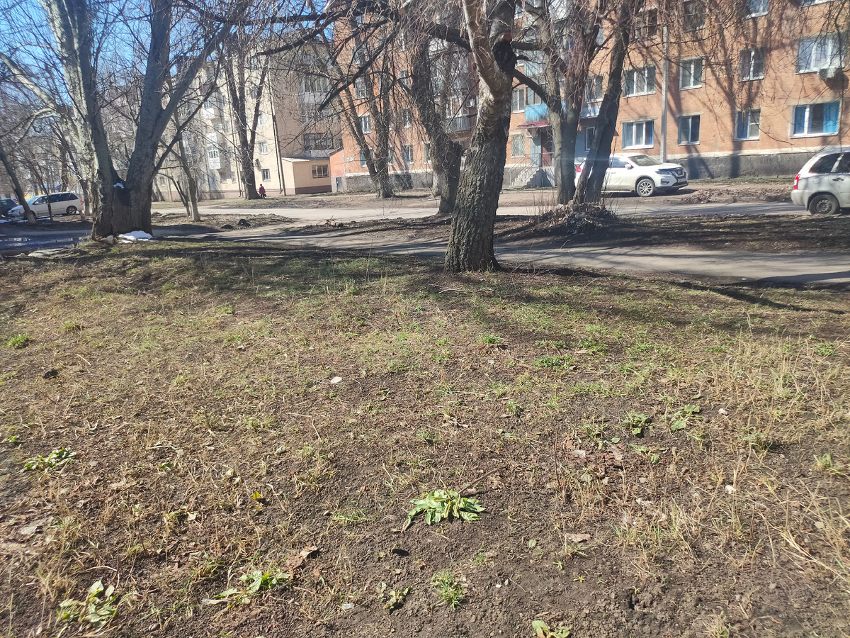 Погода сегодня 