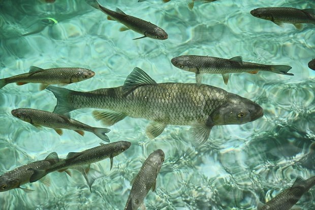    Фото: lenta.ru Георгий