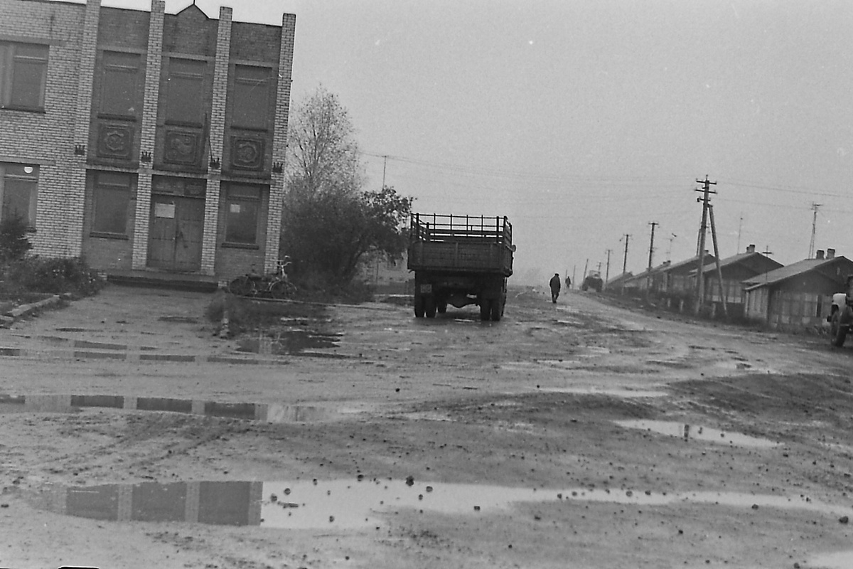 д. Артемово Невельский район  Сельсовет