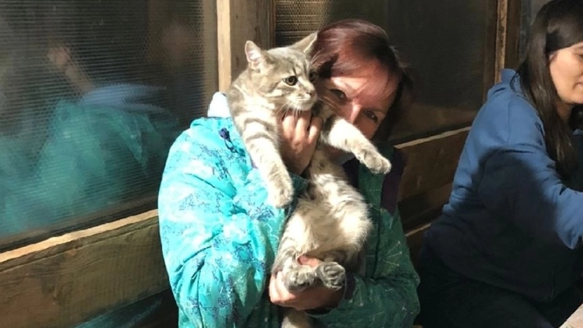 Вы там без меня еду готовьте, а я с котиком поиграю))) 