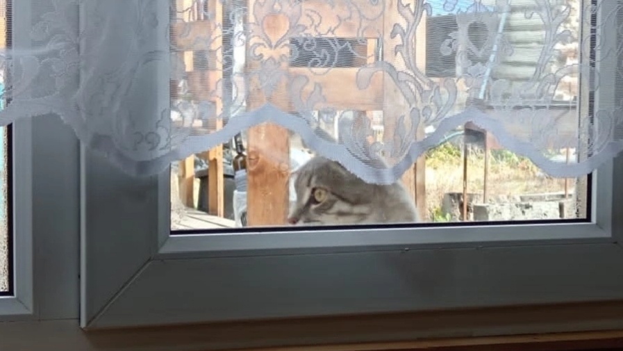 А кушать мы когда будем? 