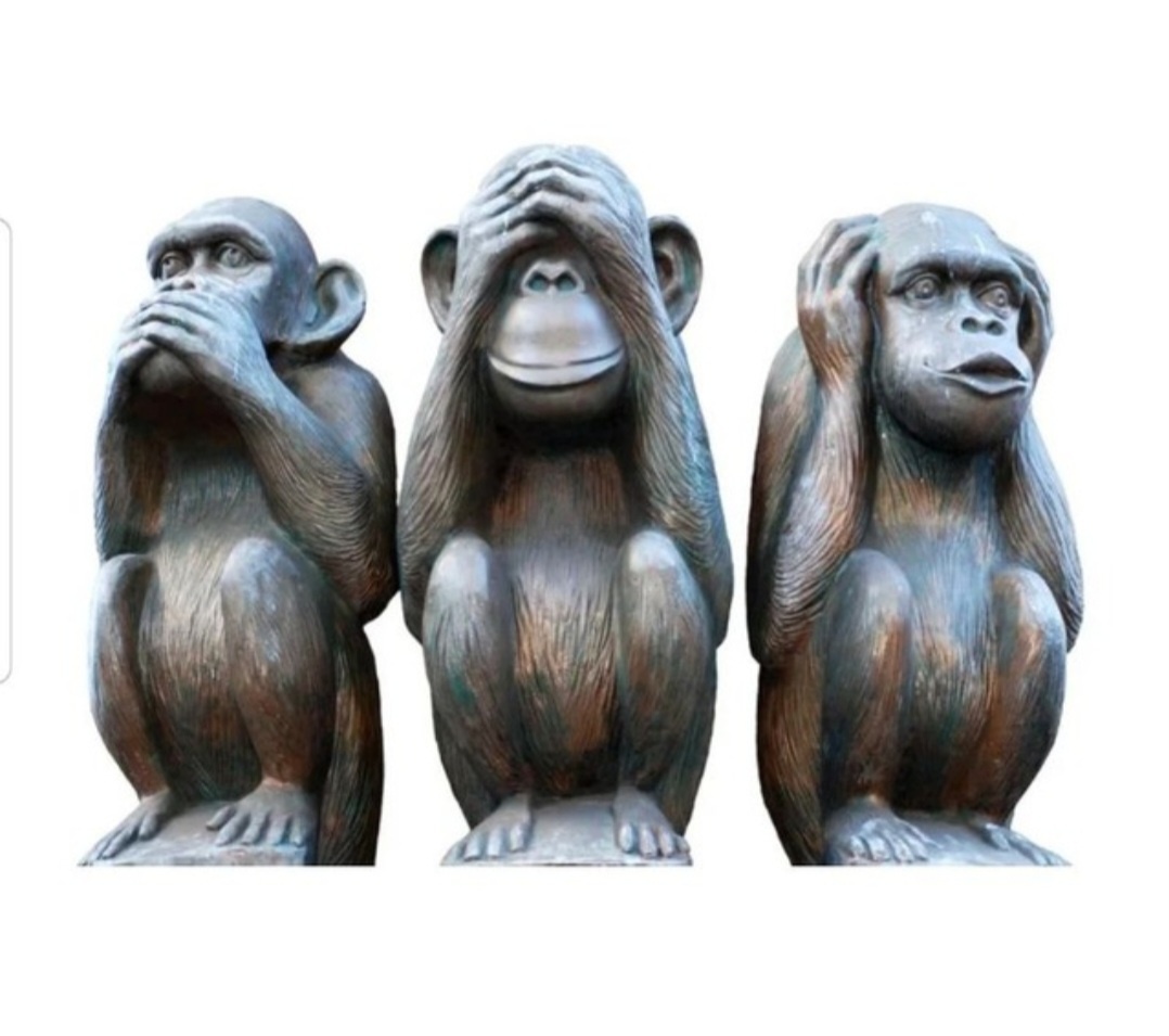 Фото из интернета.