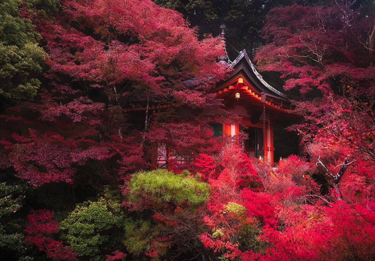 Красивые места Японии