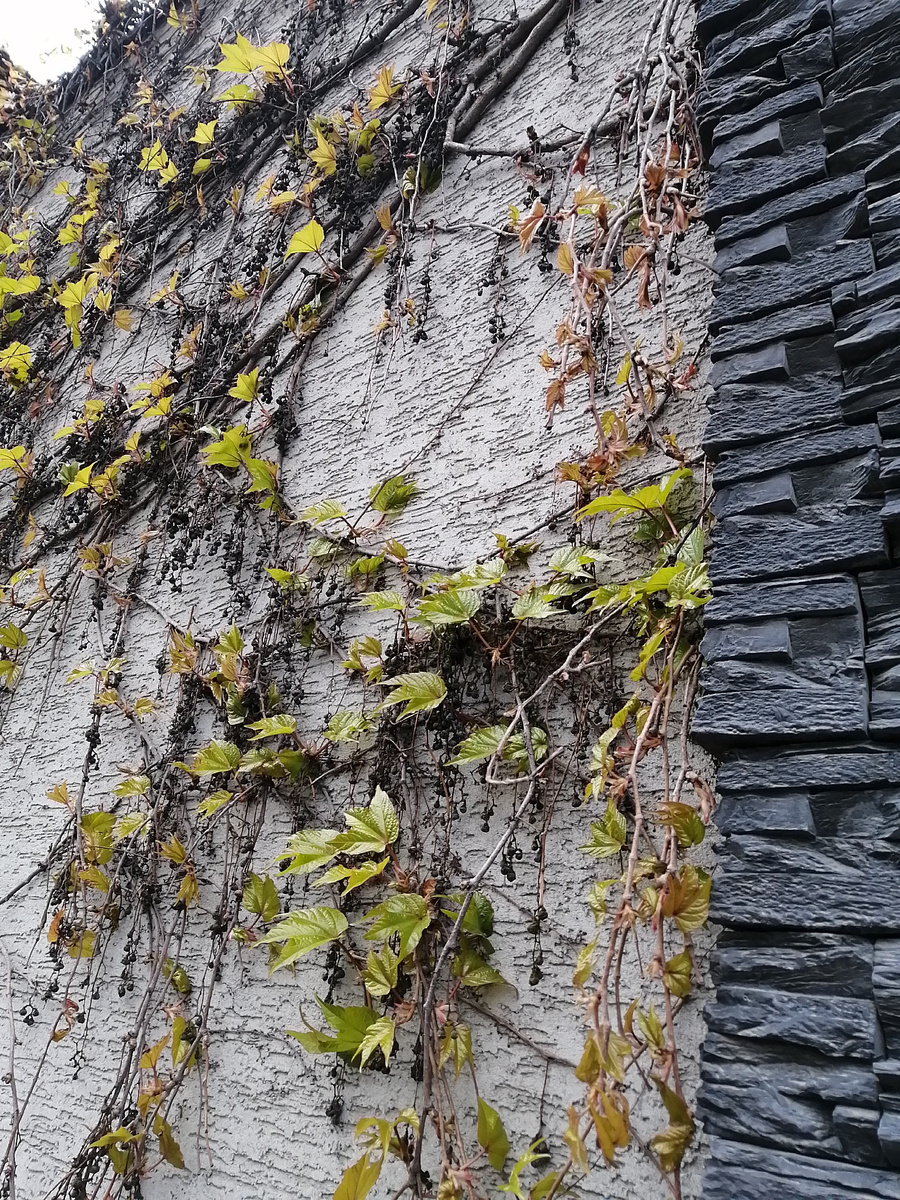 Пробуждение природы, люблю весну😍