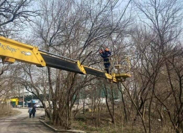 Источник фото: rostov-gorod.ru