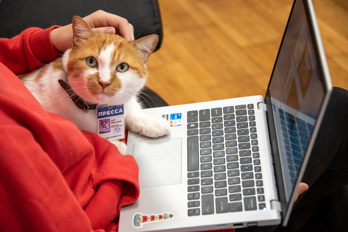 Статья напечатана под моим чутким руководством. 