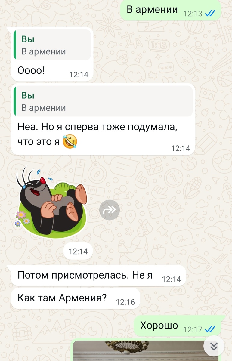 Фрагмент переписки с разрешения подруги.