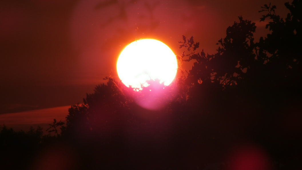    Victor Lisitsyn/Globallookpress