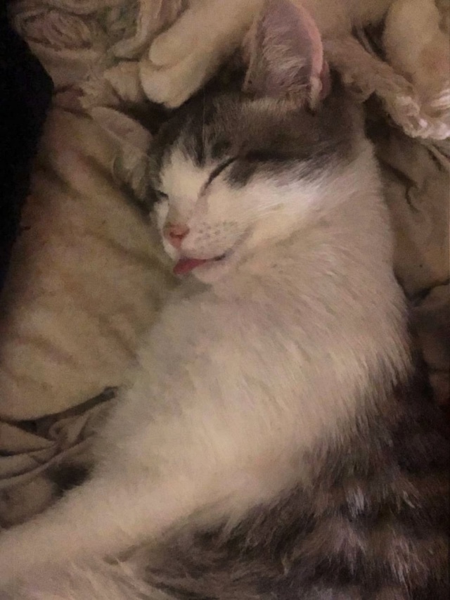 это я. и точка.