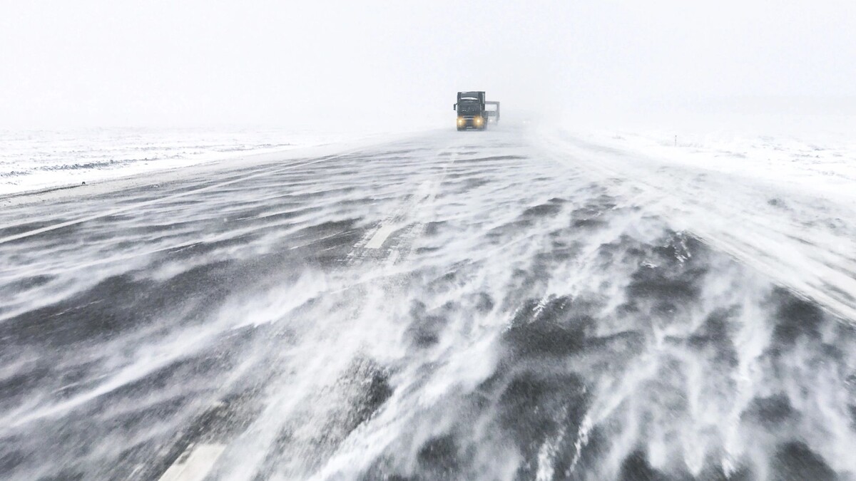    Фото: Vitaliy Kaplin/Shutterstock/Fotodom