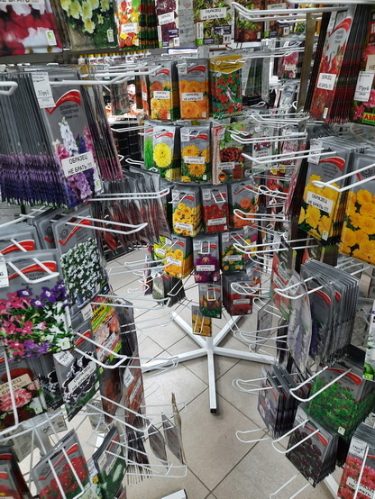 все фотографии в статье мои