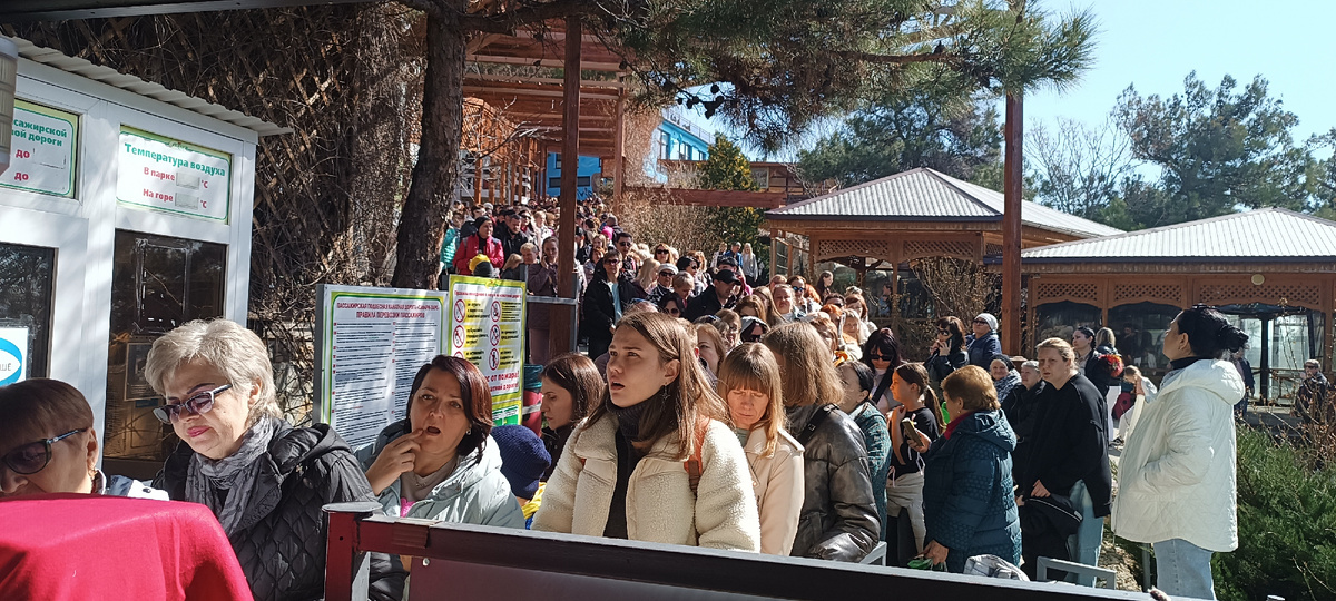 Вот она, очередь на канатку. Сколько видно глазу! Хорошо делать такие фото, когда ты уже проходишь на посадку.🤣