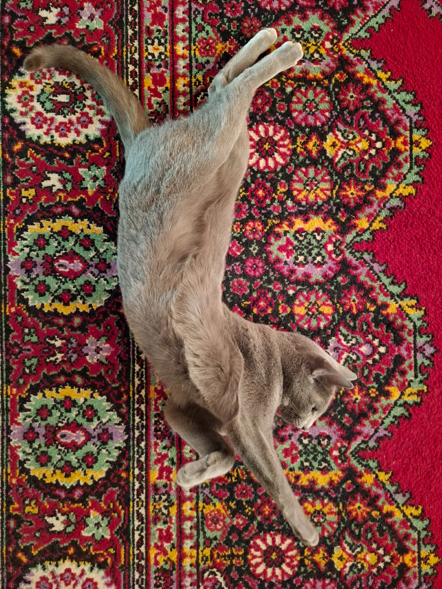 Люсе пошёл второй год...