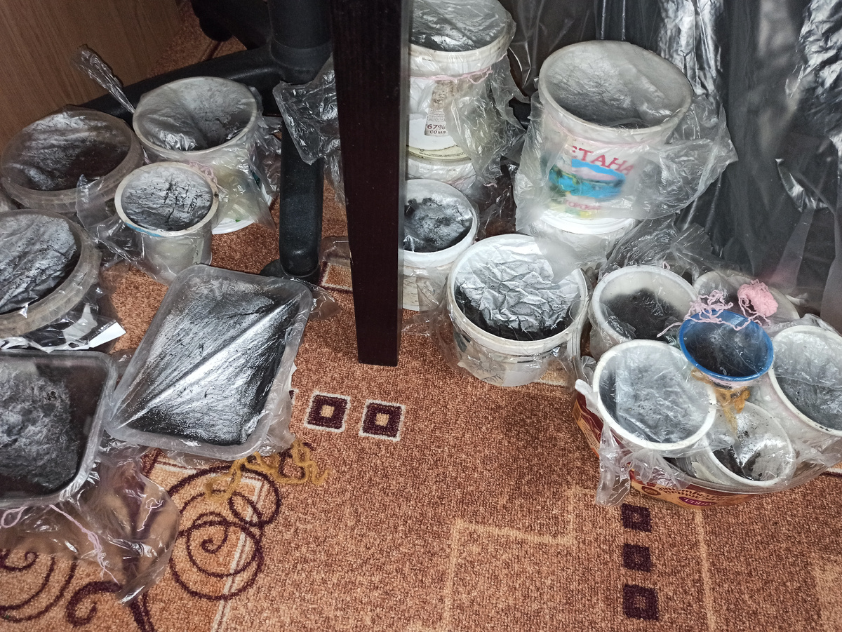 Фото автора. Рассада под столом