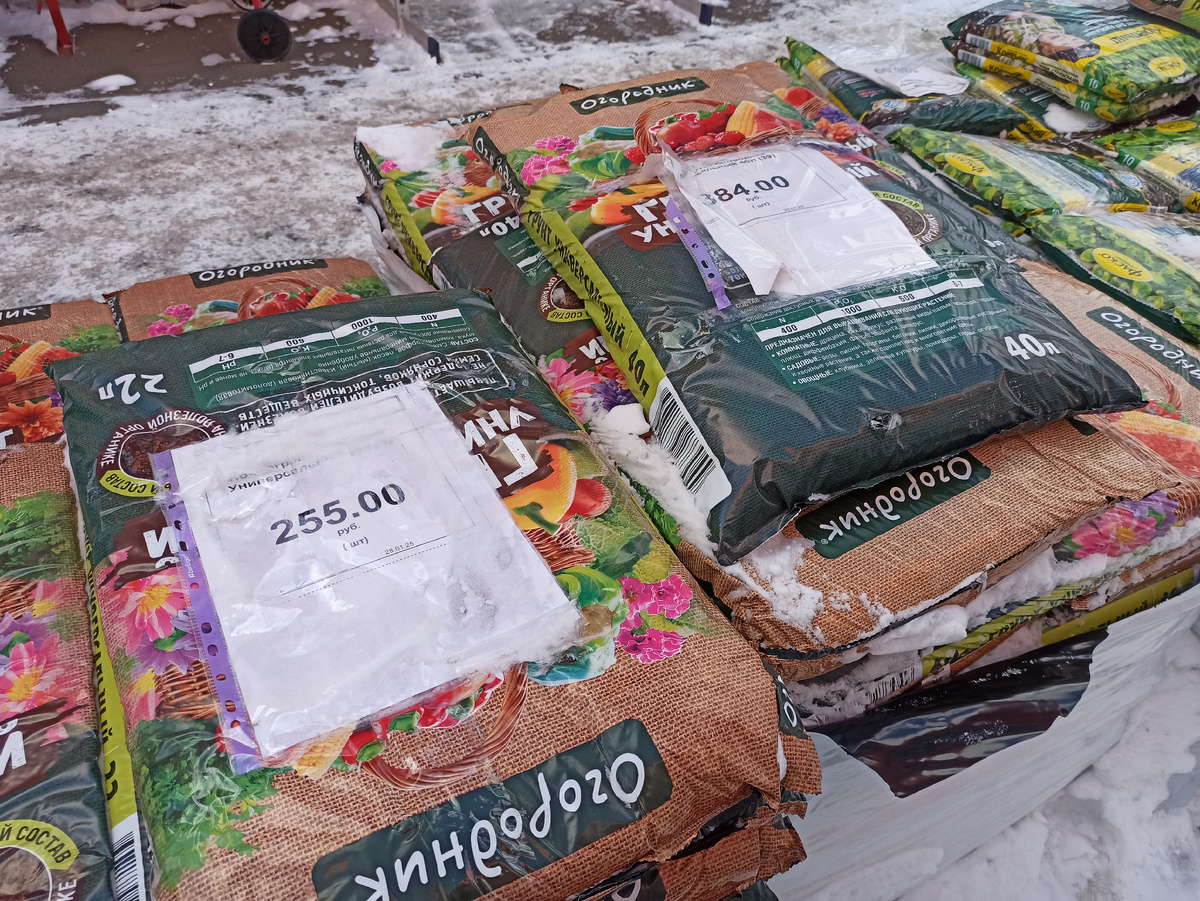 Фото автора. Очень дорогой