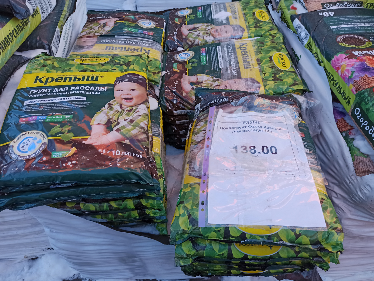 Фото автора. Будто с содержанием золота