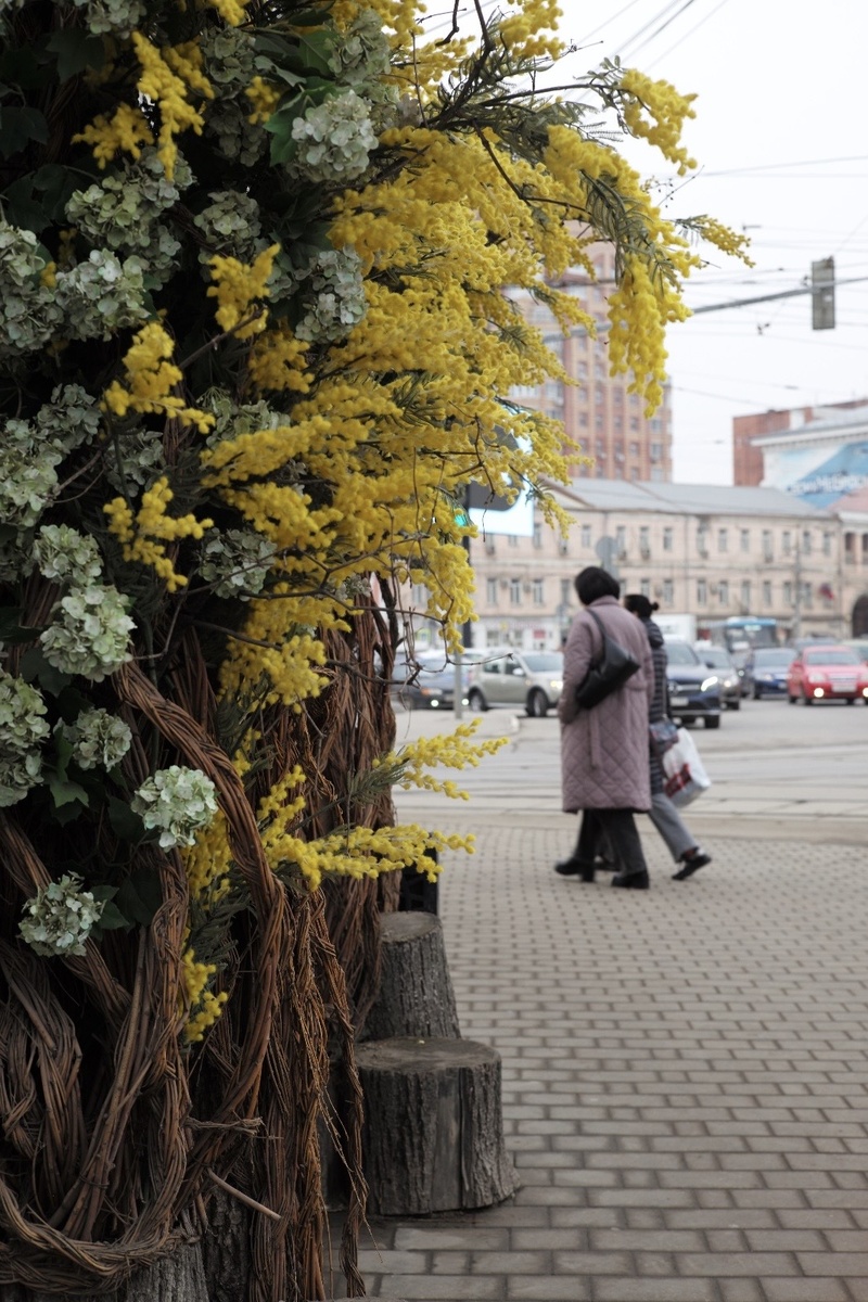 Фото: Александр Панов