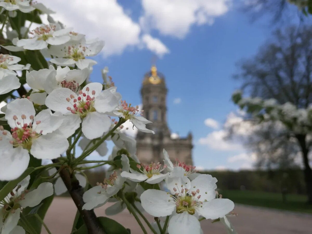 Дубровицы. Фото Светы Давыдовой