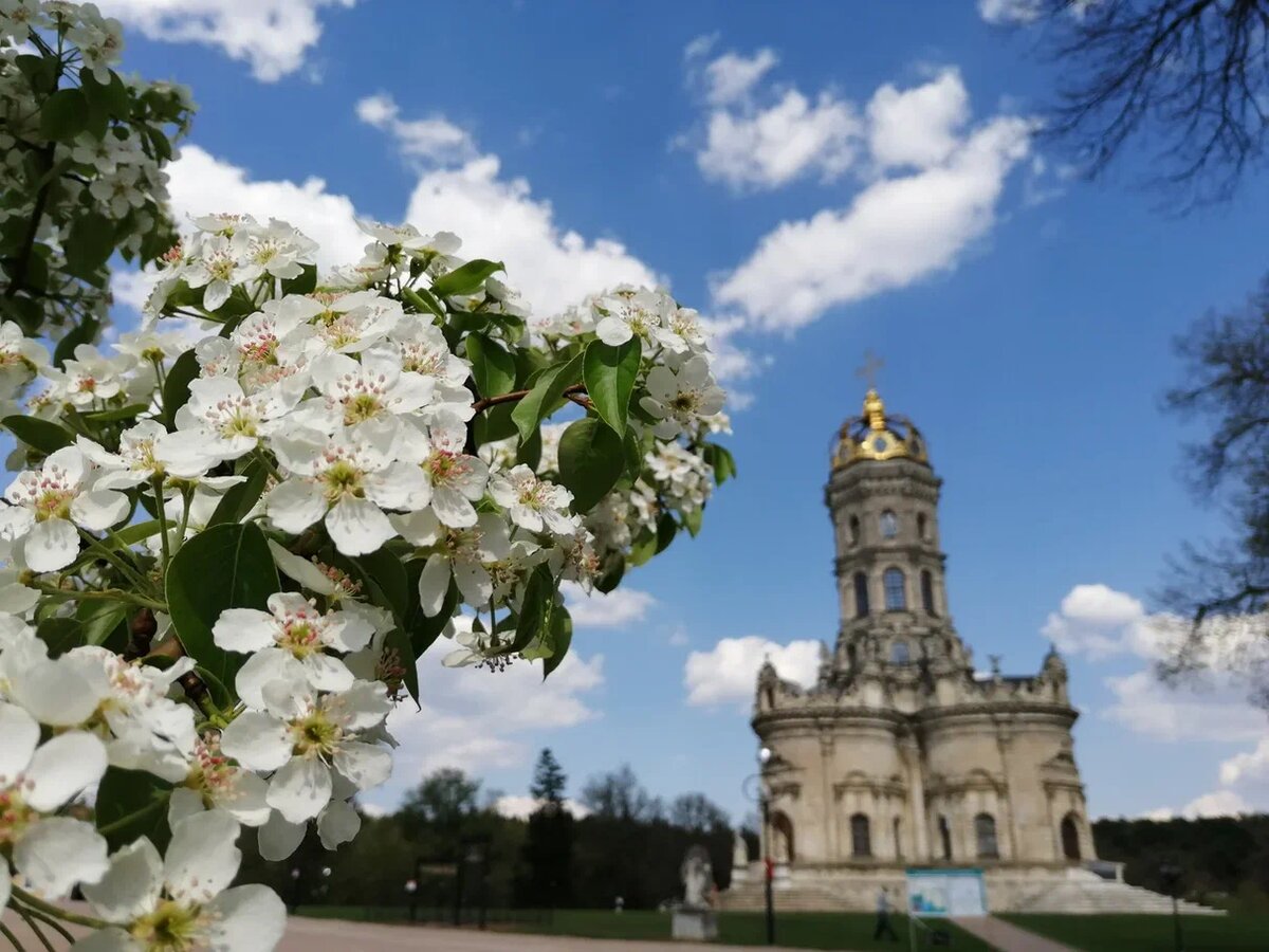 Дубровицы. Фото Светы Давыдовой