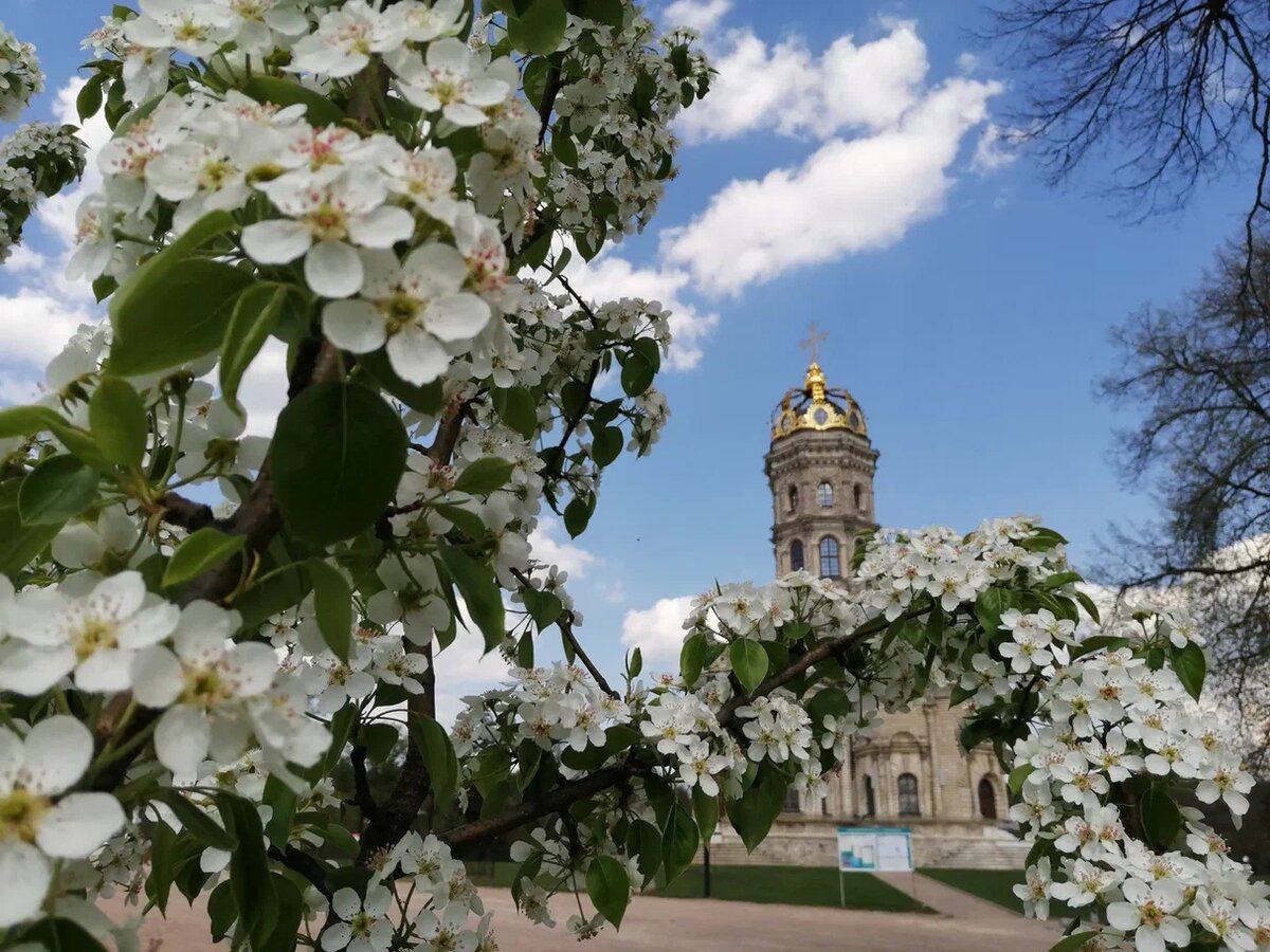 Храм в Дубровицах. Фото Светы Давыдовой