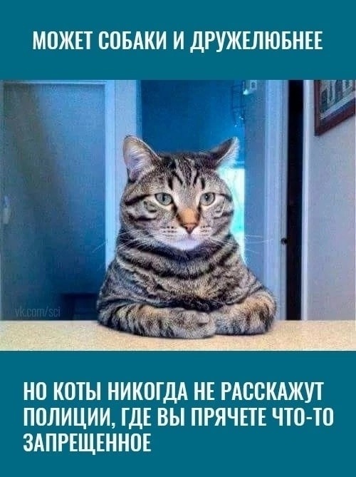 источник Яндекс-картинки