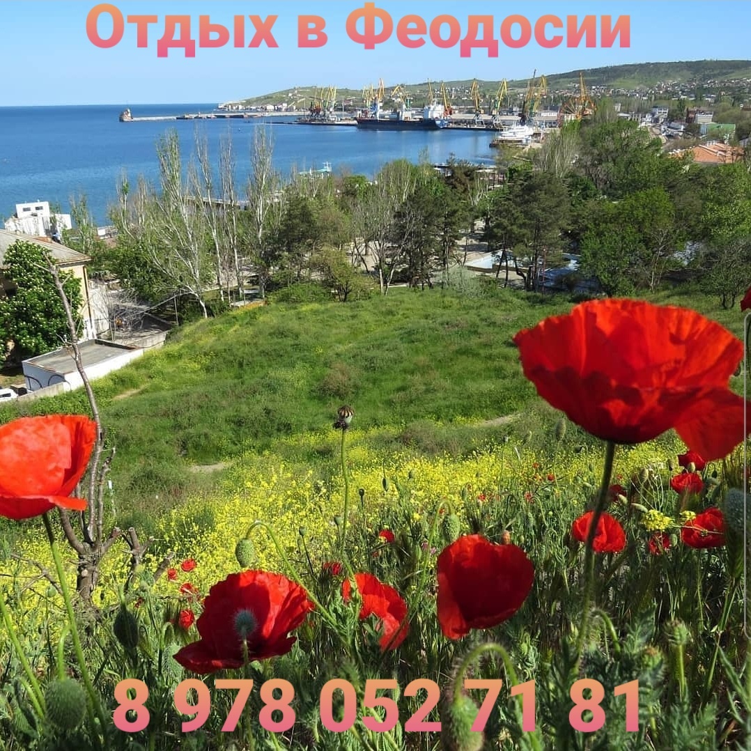Феодосия снять жилье посуточно без посредников 