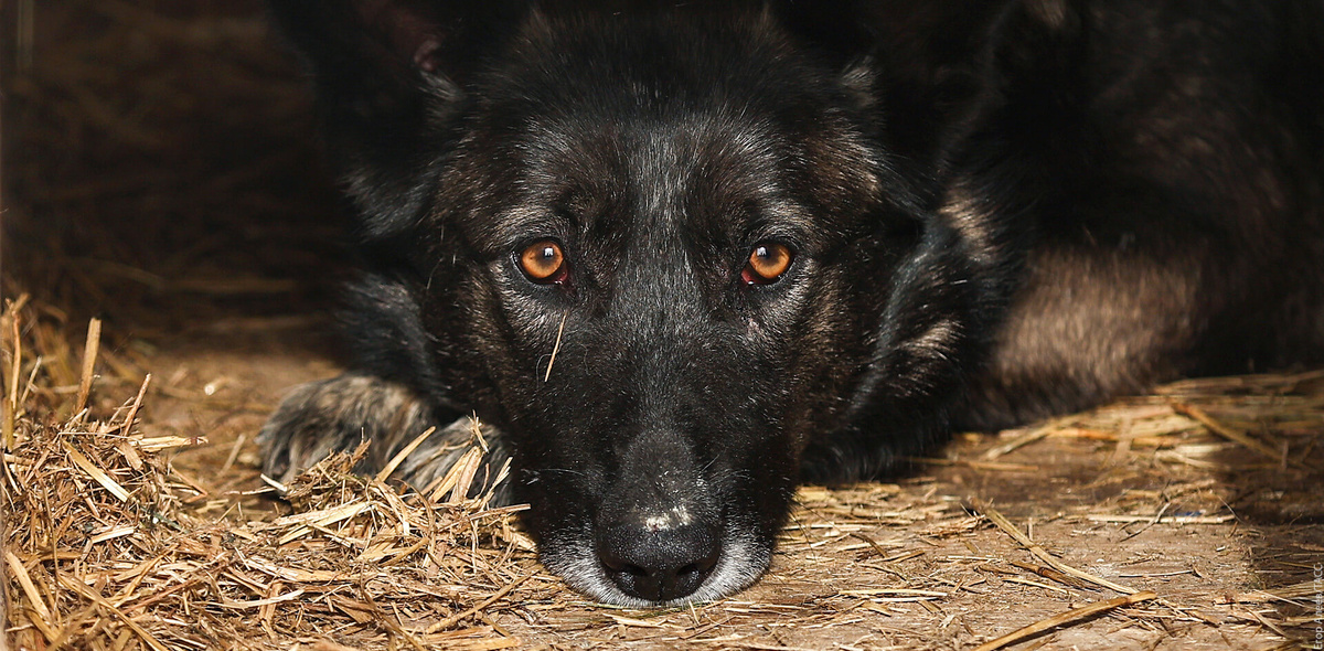 Фото: Егор Алеев/ТАСС