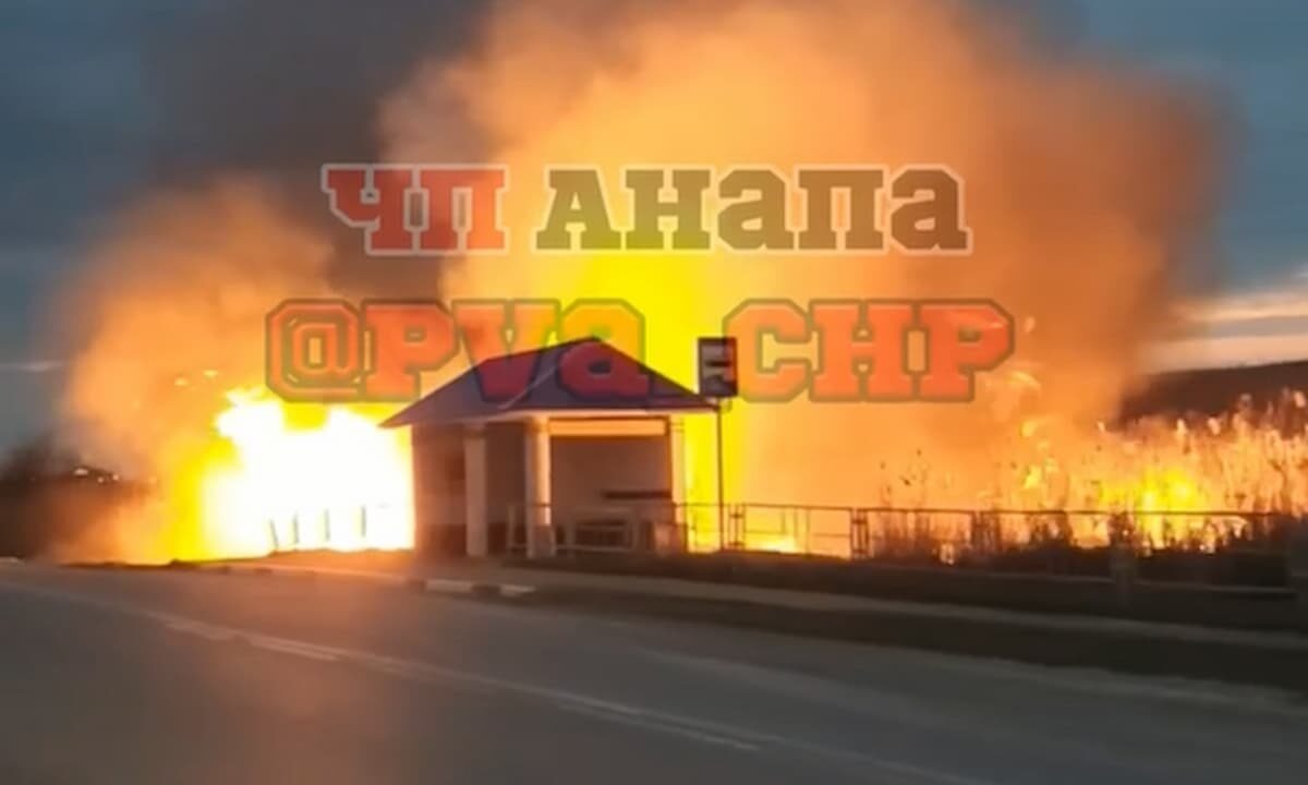    Скриншот видео t.me/pva_chp
