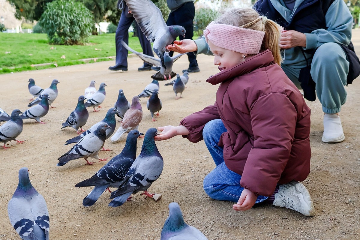 Птицы — не просто наши соседи, но и важная часть природной системы. Источник: Shutterstock📷
