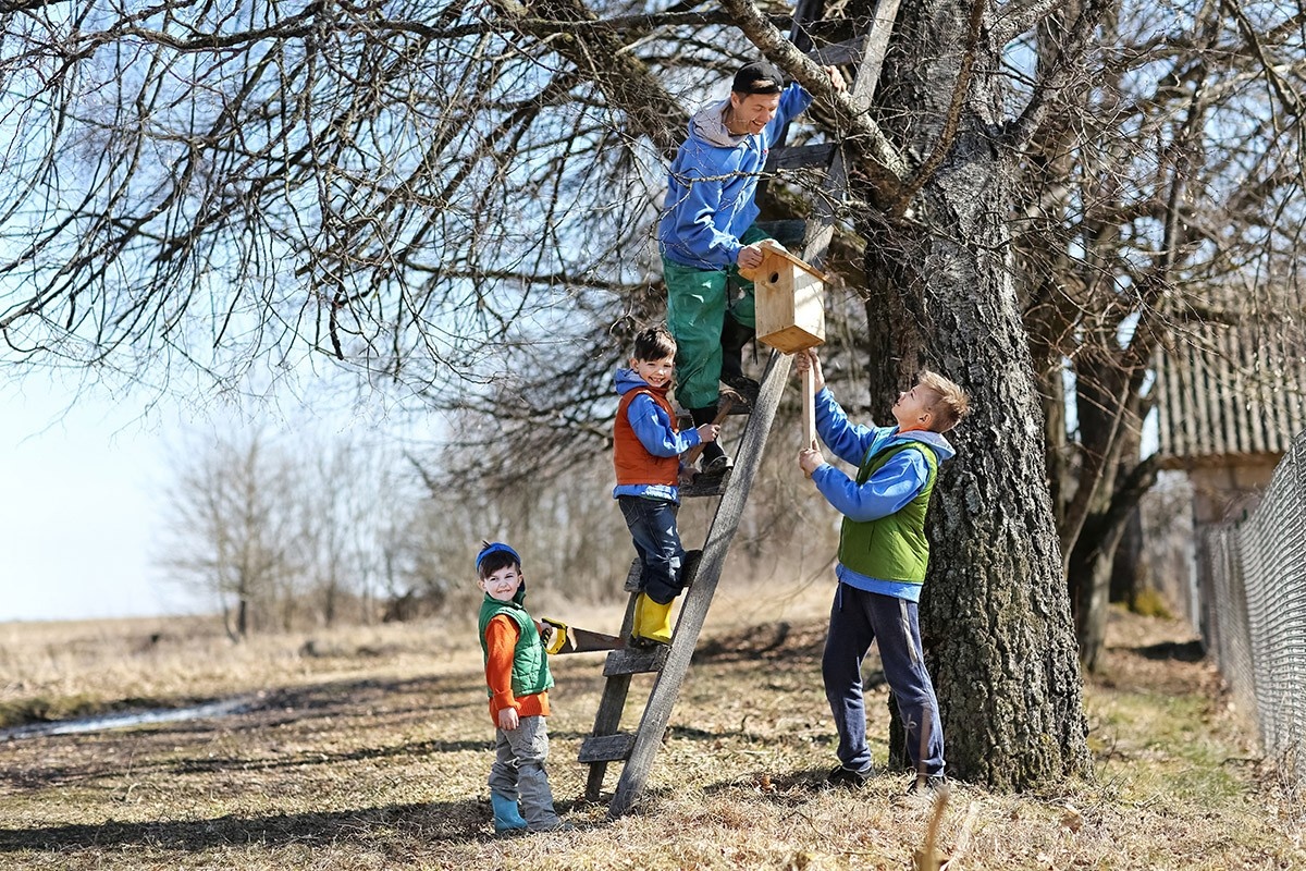 Скворечники и кормушки помогают пернатым выжить. Источник: Shutterstock📷
