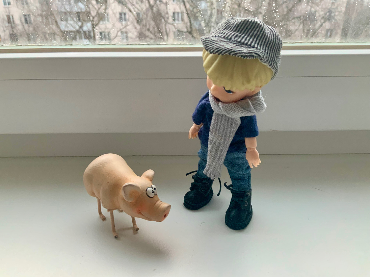 Пойдем, Свинушок!