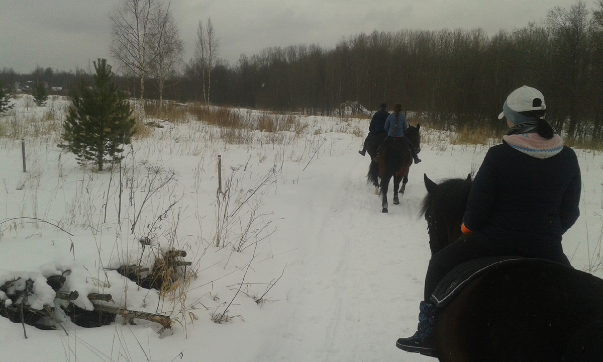 лесные тропинки