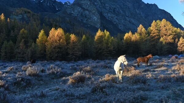    © РИА Новости . Владимир Вяткин