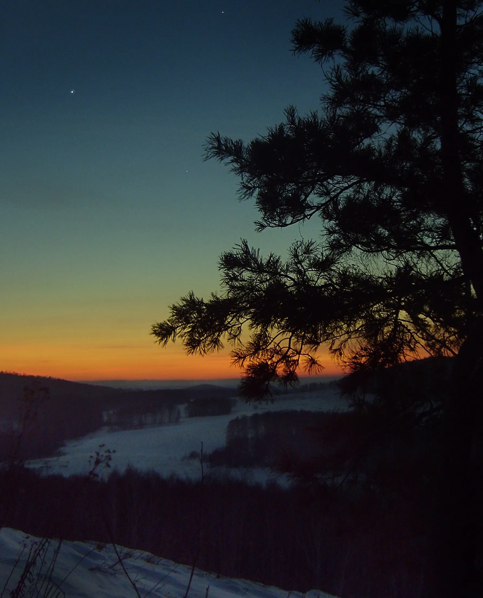 Поздний вечер в лесу, декабрь 2007