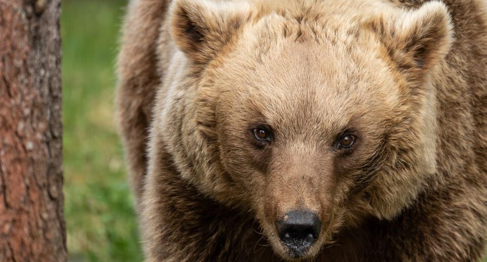    Silas Stein/dpa / www.globallookpress.com