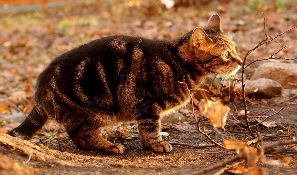 Все фото авторские. 
