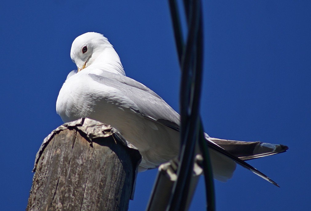 Все фото авторские. 