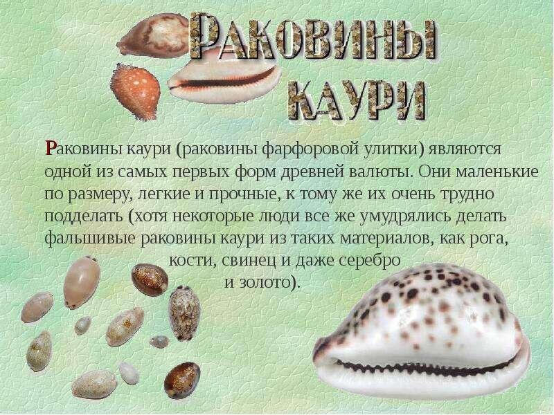 источник фото Яндекс картинки