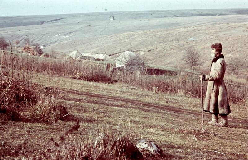 Оккупация Воронежской области 1942 года глазами венгерского корреспондента