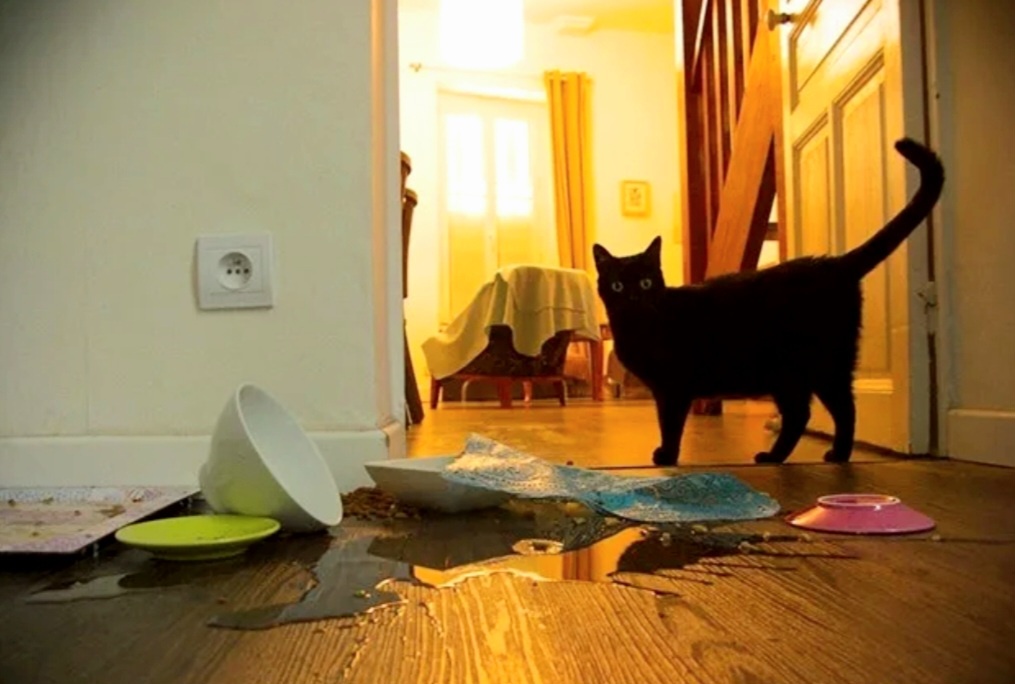 Это не я! Это всё само собой как то произошло