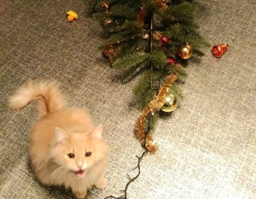 Я просто хотел украсить елку, как смог! Что получилось, то получилось 